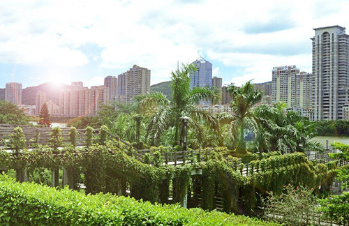 道路綠化景觀提升花箱種植維護(hù)